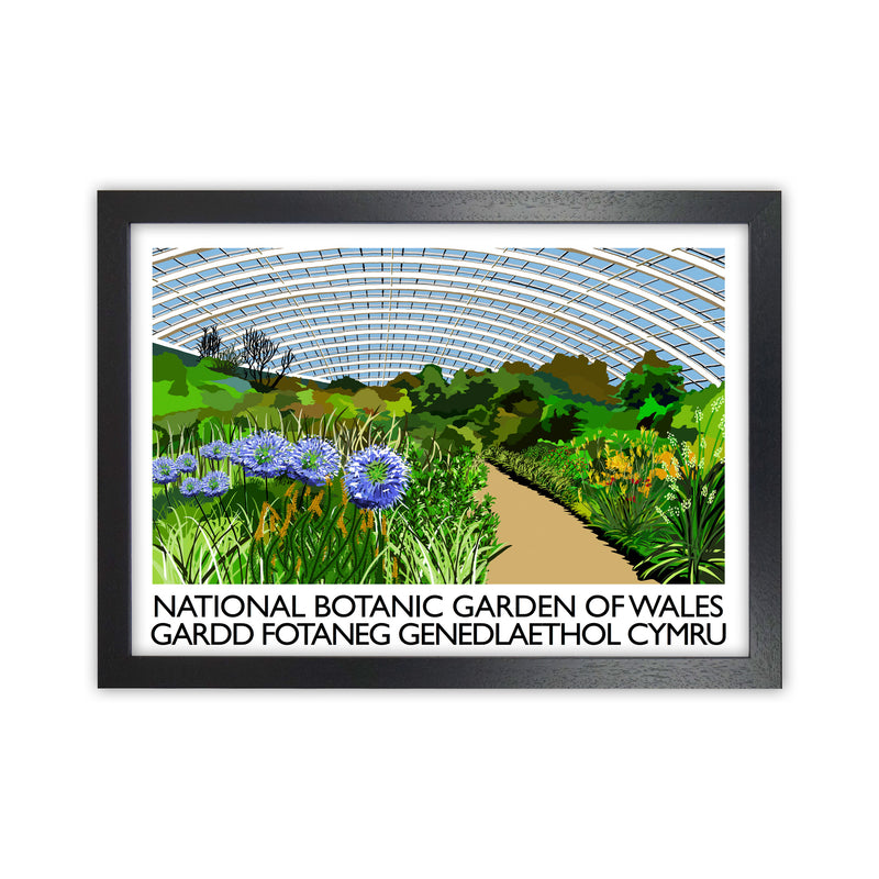 National Botanic Garden of Wales Travel Art Print by Richard O'Neill Black Grain