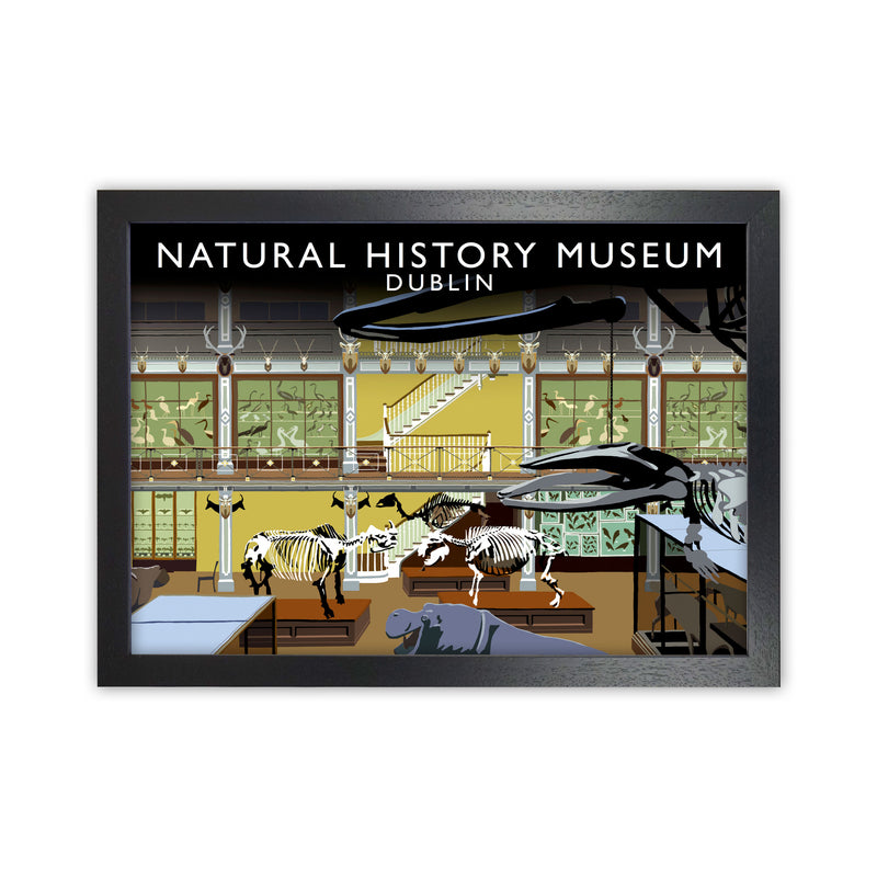 Natural History Museum Dublin Art Print by Richard O'Neill, Framed Wall Art Black Grain