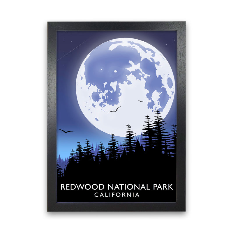 Redwood National Park California Travel Art Print by Richard O'Neill Black Grain