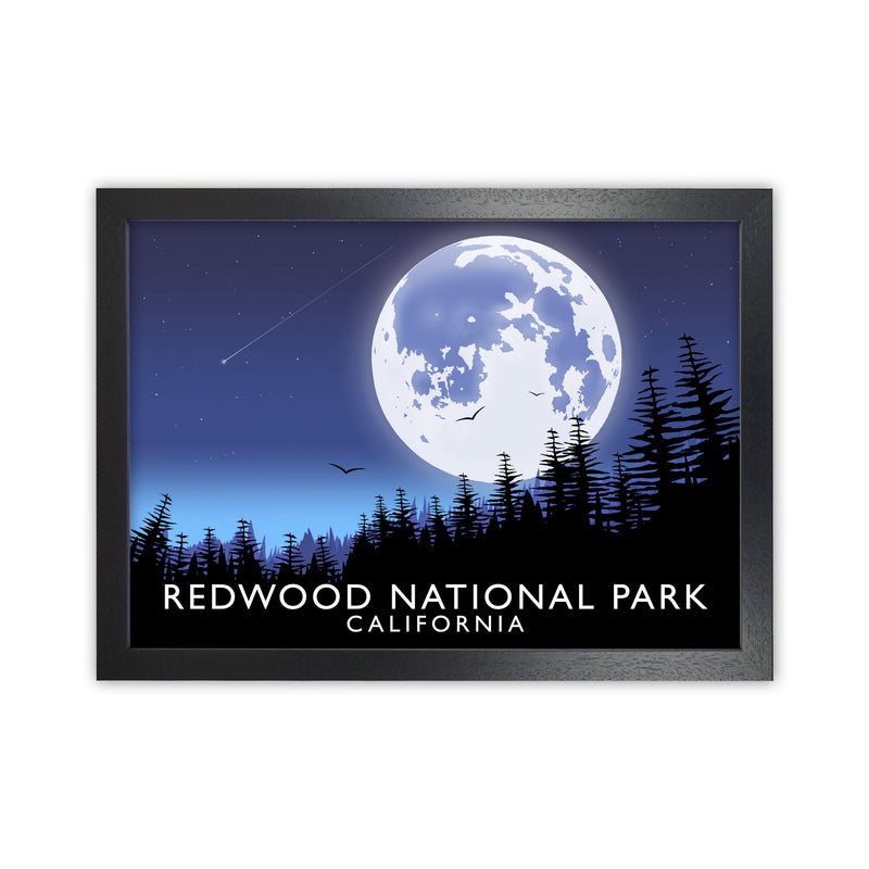 Redwood National Park California Travel Art Print by Richard O'Neill Black Grain
