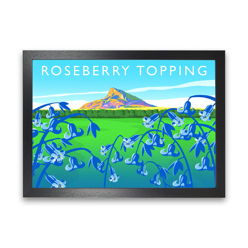 Roseberry Topping (bluebells) by Richard O'Neill Black Grain