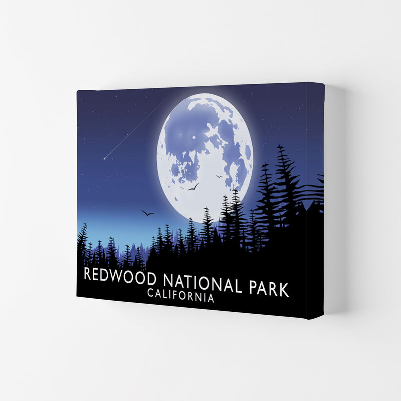Redwood National Park California Travel Art Print by Richard O'Neill Canvas