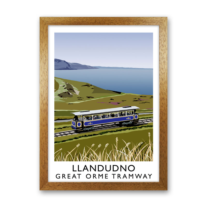 Llando Great Orme Tramway Art Print by Richard O'Neill Oak Grain