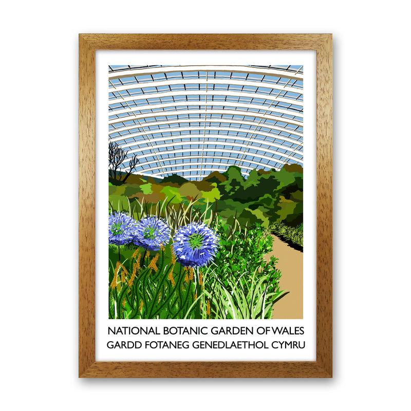National Botanic Garden Of Wales by Richard O'Neill Oak Grain