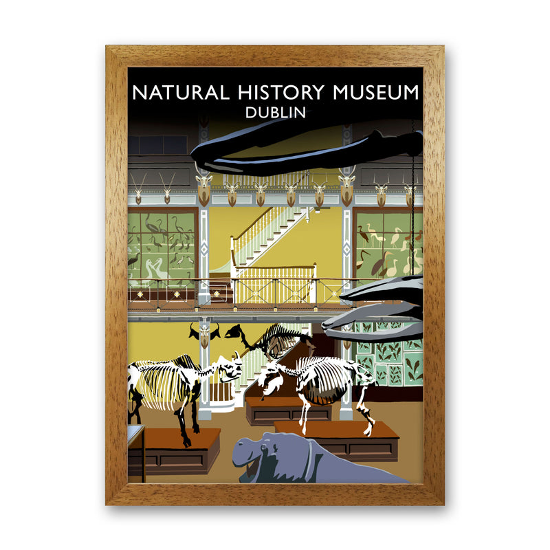 Natural History Musuem by Richard O'Neill Oak Grain