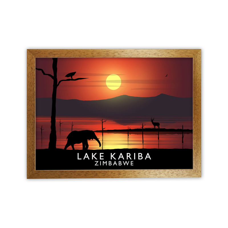 Lake Kariba Zimbabwe Framed Digital Art Print by Richard O'Neill Oak Grain