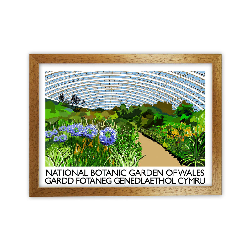 National Botanic Garden of Wales Travel Art Print by Richard O'Neill Oak Grain