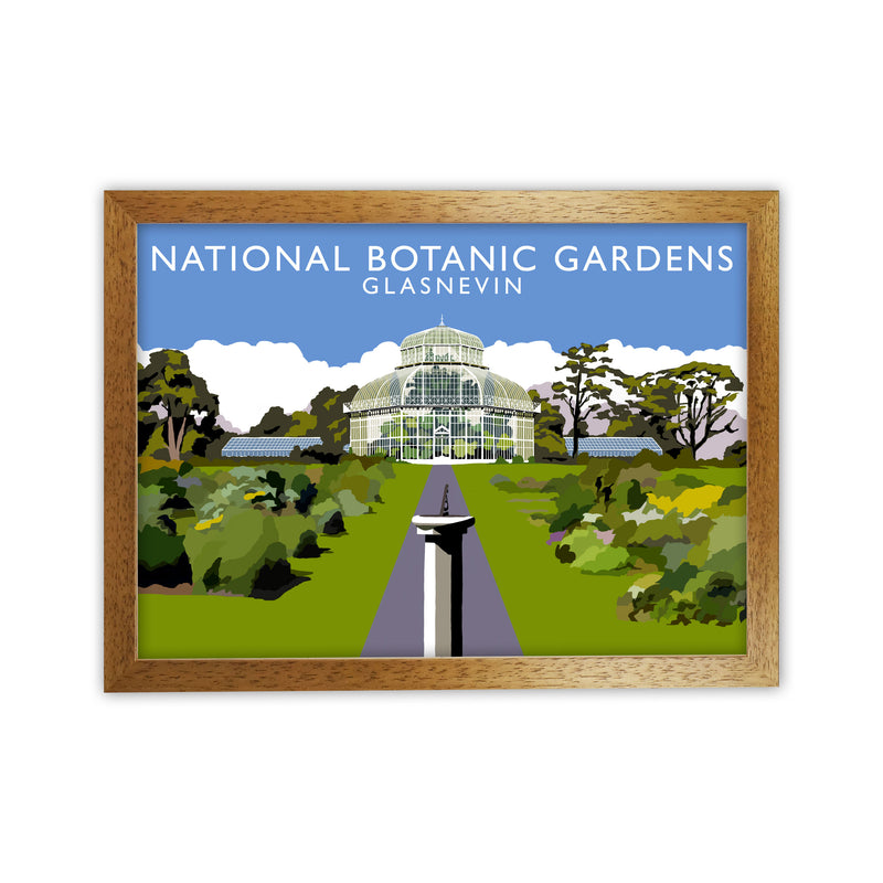 National Botanic Gardens Glasnevin Travel Art Print by Richard O'Neill Oak Grain