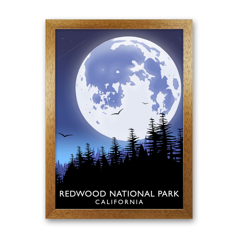 Redwood National Park California Travel Art Print by Richard O'Neill Oak Grain
