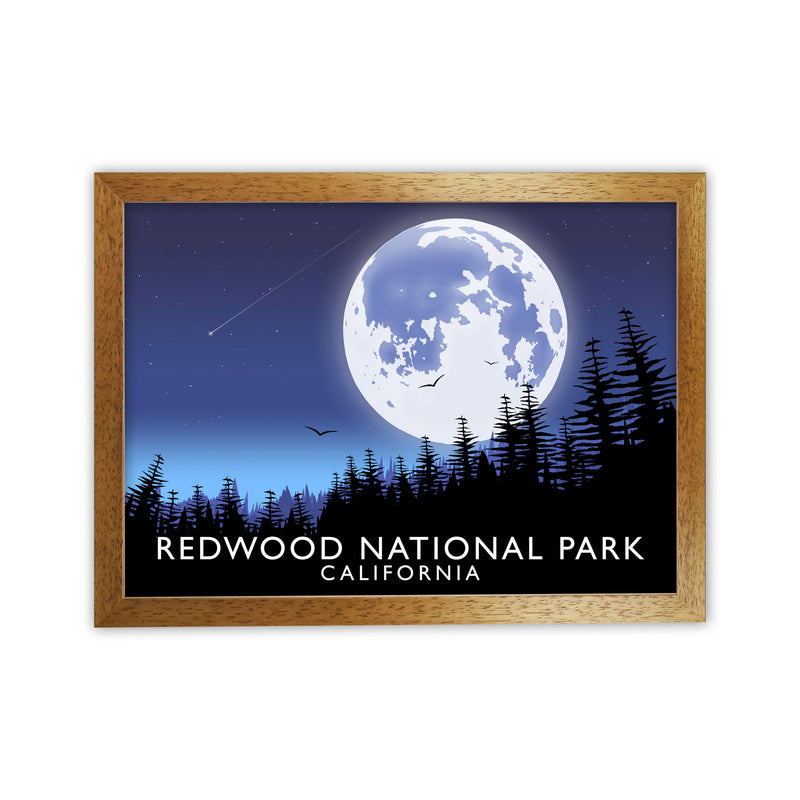 Redwood National Park California Travel Art Print by Richard O'Neill Oak Grain