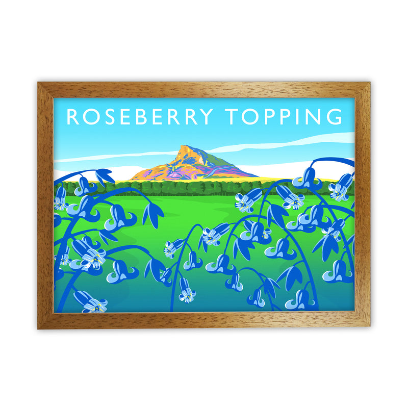 Roseberry Topping (bluebells) by Richard O'Neill Oak Grain