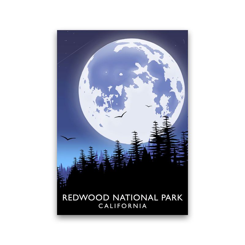 Redwood National Park California Travel Art Print by Richard O'Neill Print Only