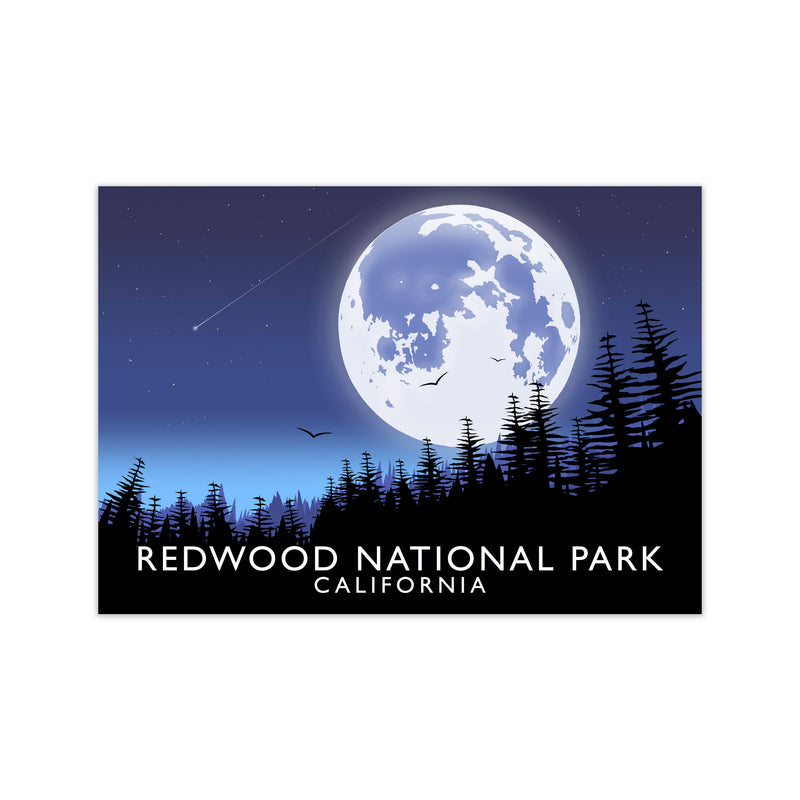 Redwood National Park California Travel Art Print by Richard O'Neill Print Only