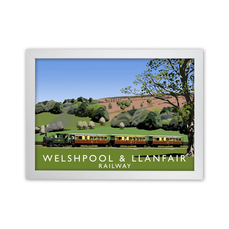 Welshpool & Llanfair by Richard O'Neill White Grain