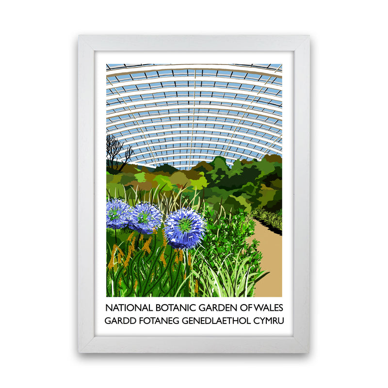 National Botanic Garden Of Wales by Richard O'Neill White Grain