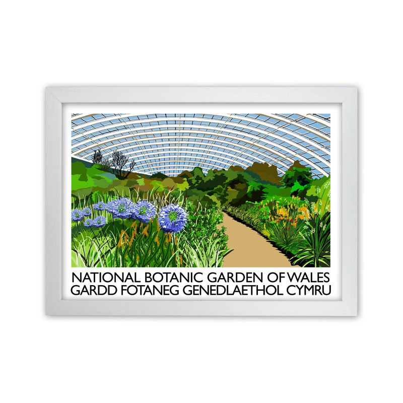 National Botanic Garden of Wales Travel Art Print by Richard O'Neill White Grain