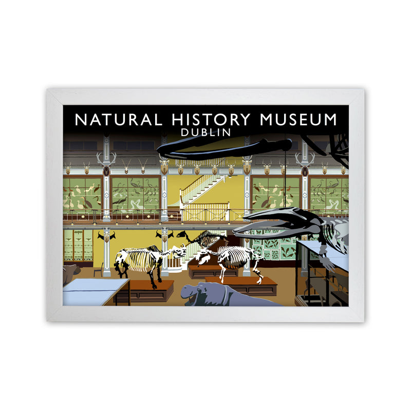Natural History Museum Dublin Art Print by Richard O'Neill, Framed Wall Art White Grain