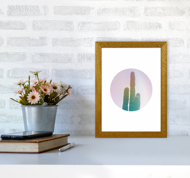 Circular Cacti Art Print by Seven Trees Design