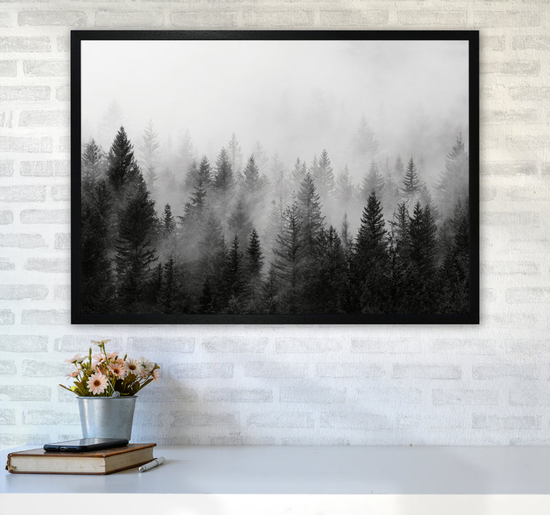 B&W Forest Photography Art Print by Seven Trees Design A1 White Frame