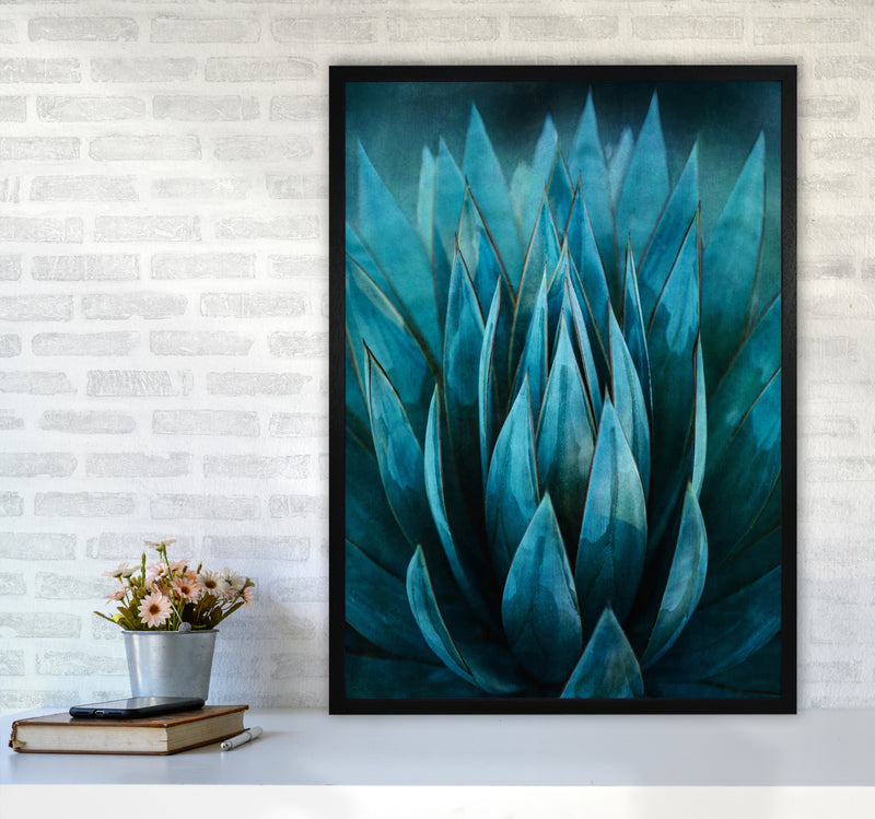 Blue Succulent Art Print by Seven Trees Design A1 White Frame