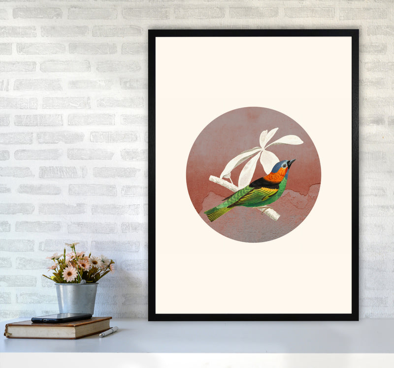 Bird Collage II Art Print by Seven Trees Design A1 White Frame
