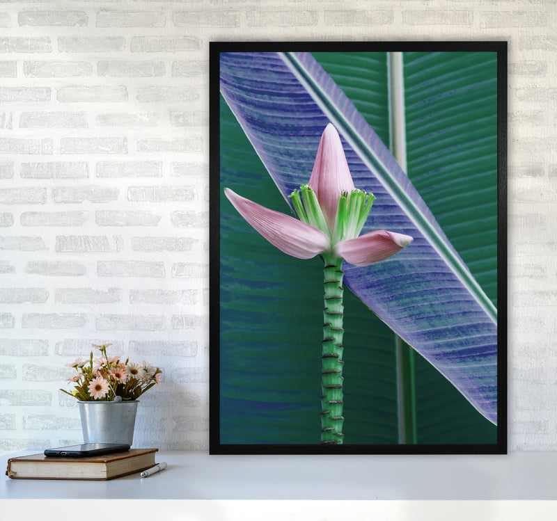 The Banana Flower Art Print by Seven Trees Design A1 White Frame