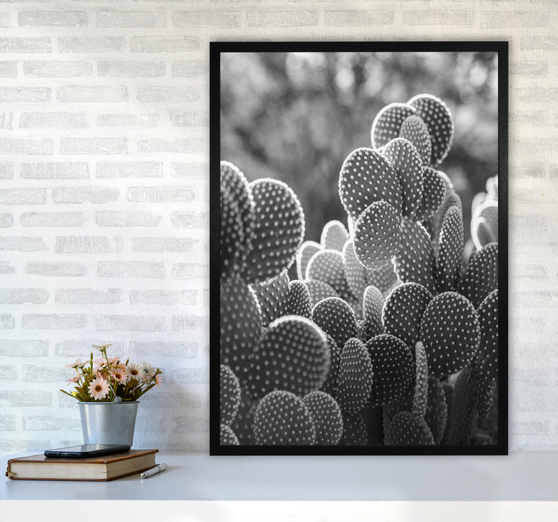 The Cacti Cactus B&W Art Print by Seven Trees Design A1 White Frame
