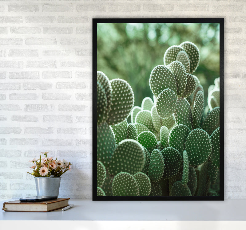 The Cacti Cactus Photography Art Print by Seven Trees Design A1 White Frame