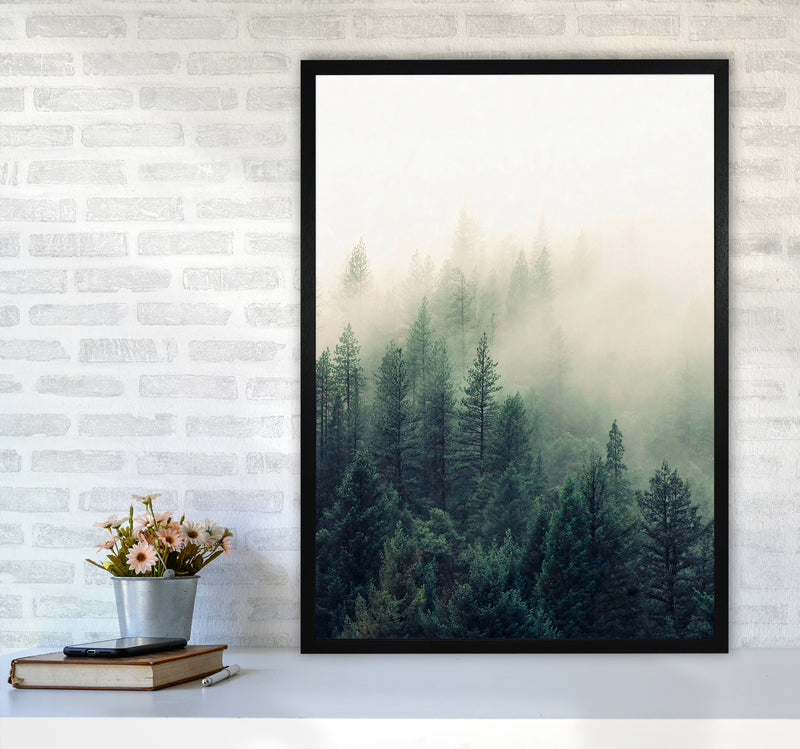 The Fog And The Forest II Photography Art Print by Seven Trees Design A1 White Frame