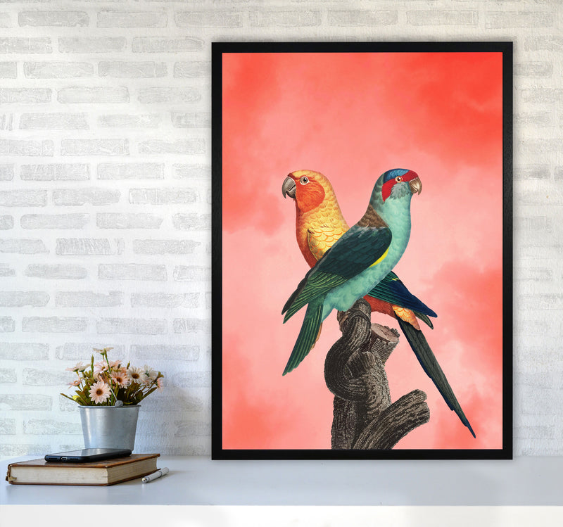 The Birds and the pink sky I Art Print by Seven Trees Design A1 White Frame