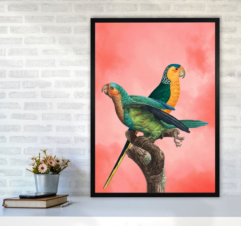 The Birds and the pink sky II Art Print by Seven Trees Design A1 White Frame