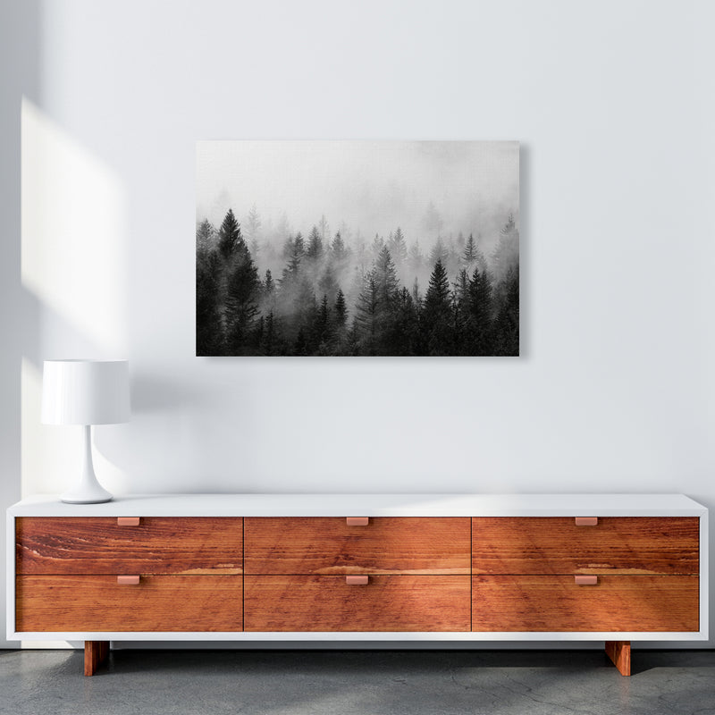 B&W Forest Photography Art Print by Seven Trees Design A1 Canvas