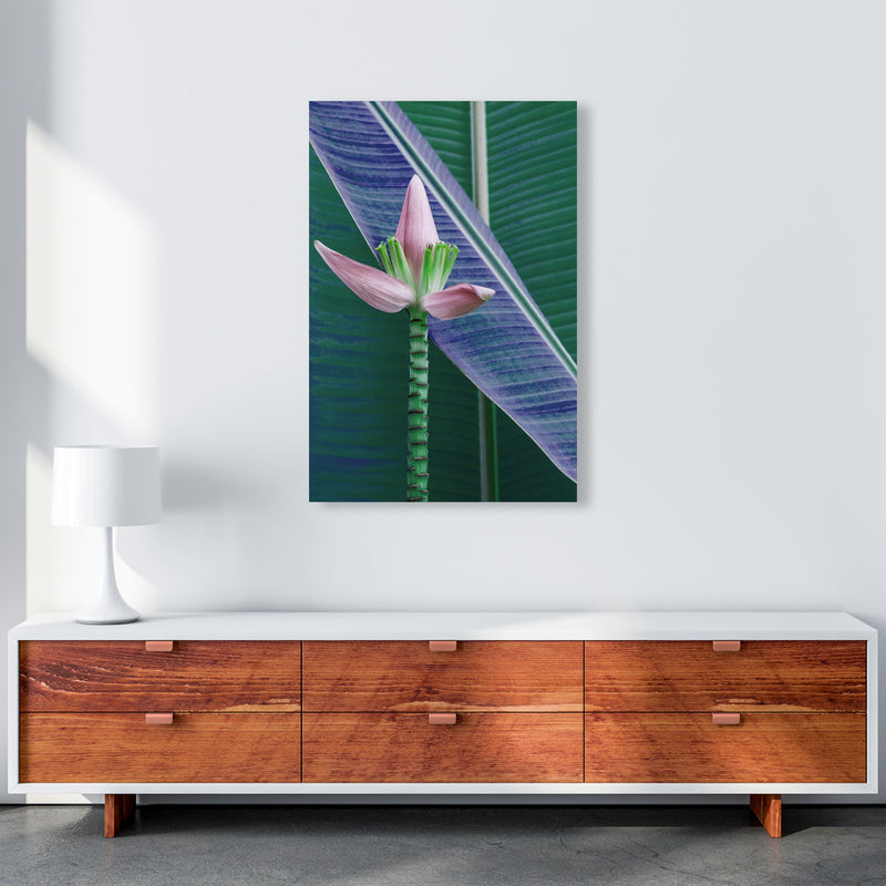 The Banana Flower Art Print by Seven Trees Design A1 Canvas