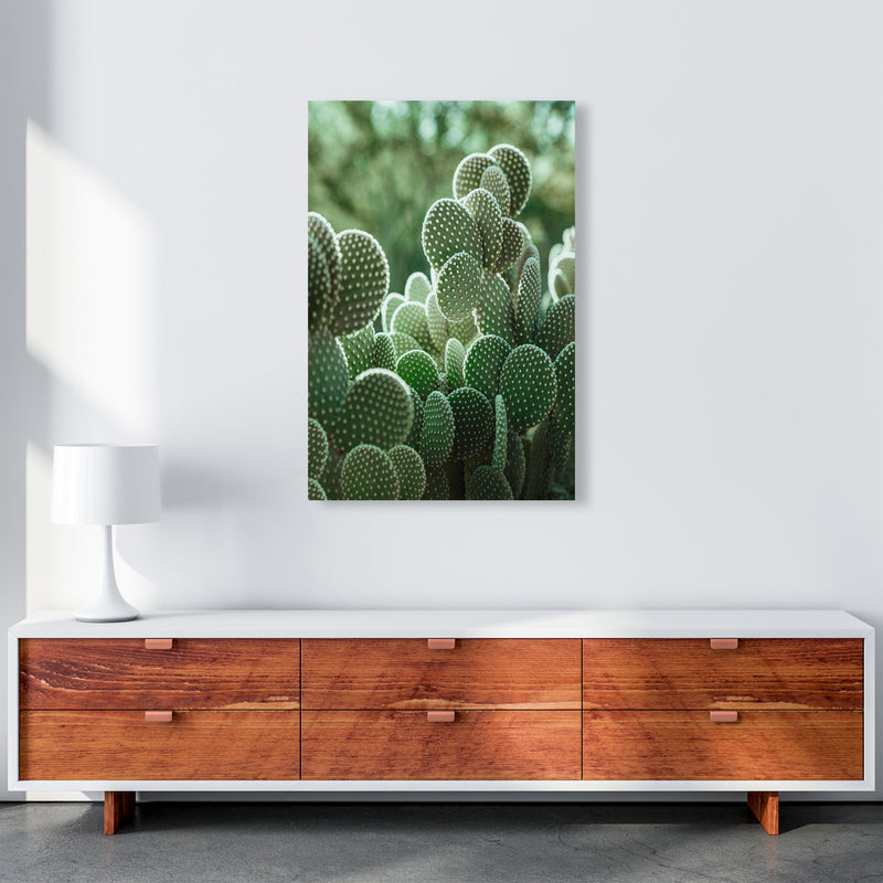 The Cacti Cactus B&W Art Print by Seven Trees Design A1 Canvas