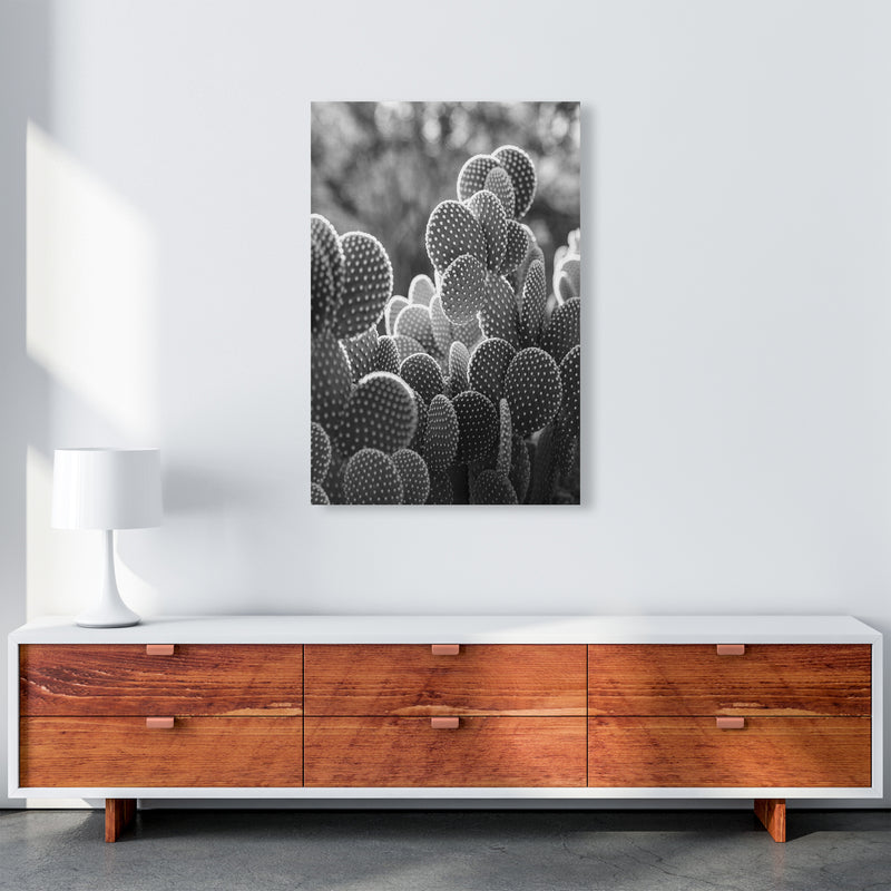 The Cacti Cactus Photography Art Print by Seven Trees Design A1 Canvas