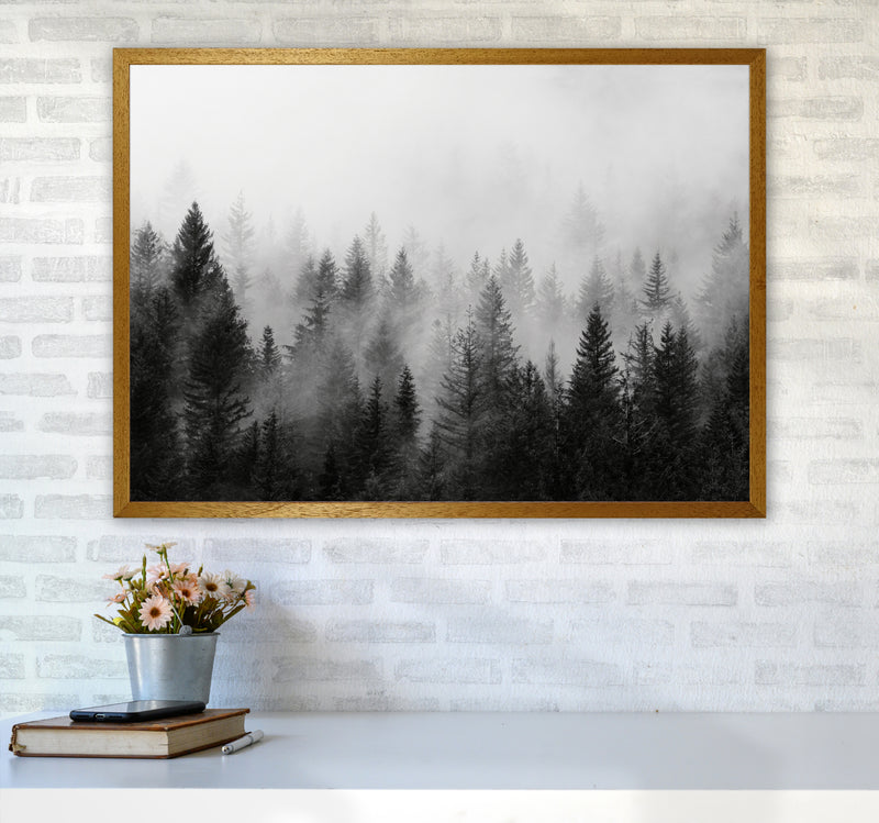 B&W Forest Photography Art Print by Seven Trees Design A1 Print Only