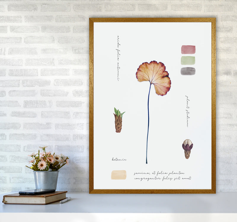 Botanic Notes Art Print by Seven Trees Design A1 Print Only