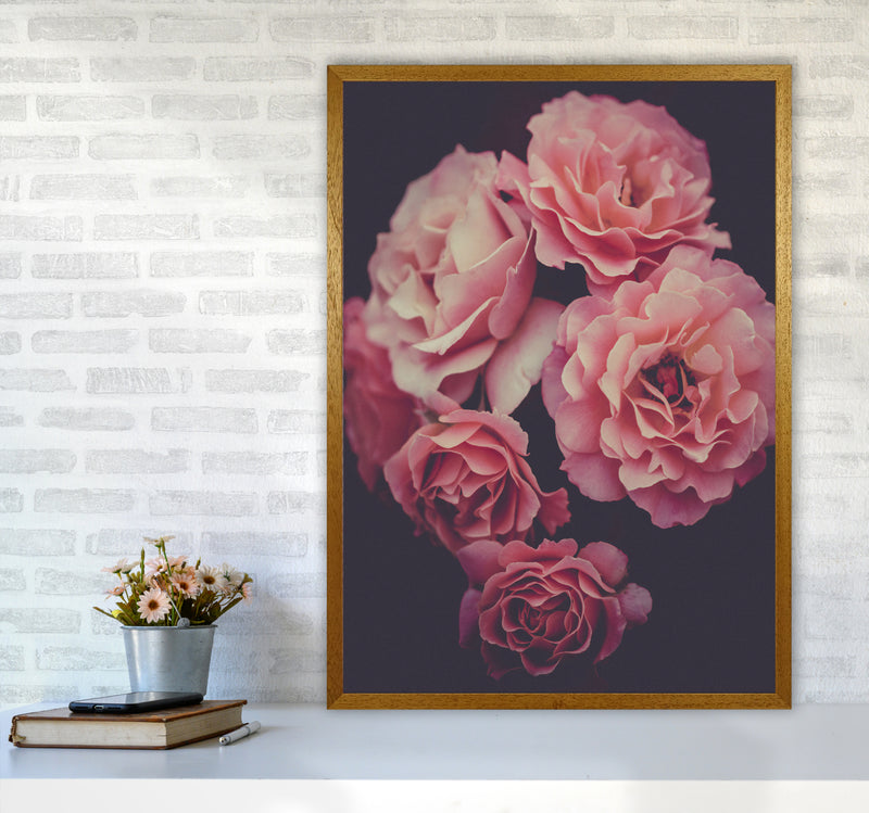 Dreamy Roses Art Print by Seven Trees Design A1 Print Only