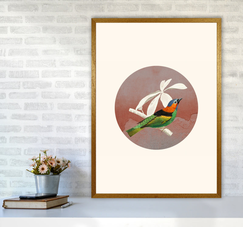 Bird Collage II Art Print by Seven Trees Design A1 Print Only