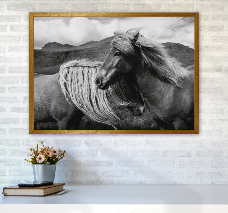 Horses In The Sky Photography Art Print by Seven Trees Design A1 Print Only