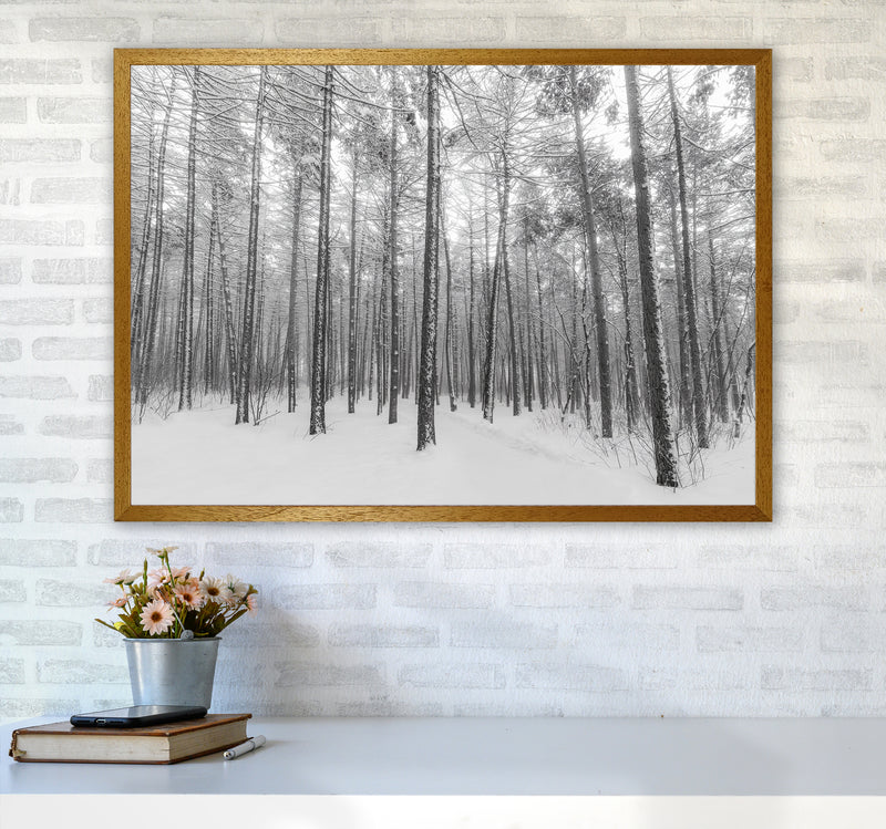Let it snow forest Art Print by Seven Trees Design A1 Print Only