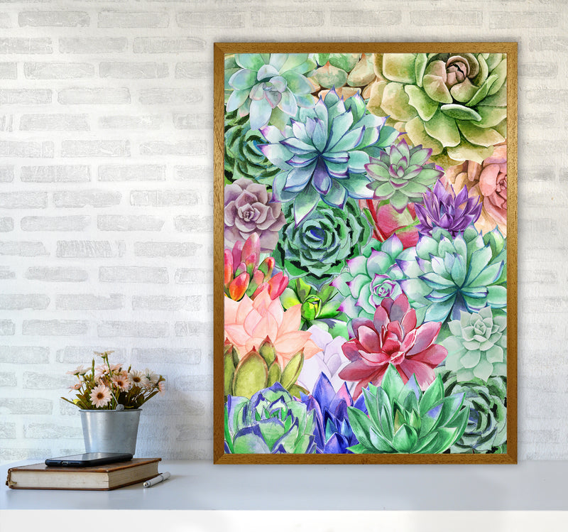 Succulents Paradise Botanical Art Print by Seven Trees Design A1 Print Only