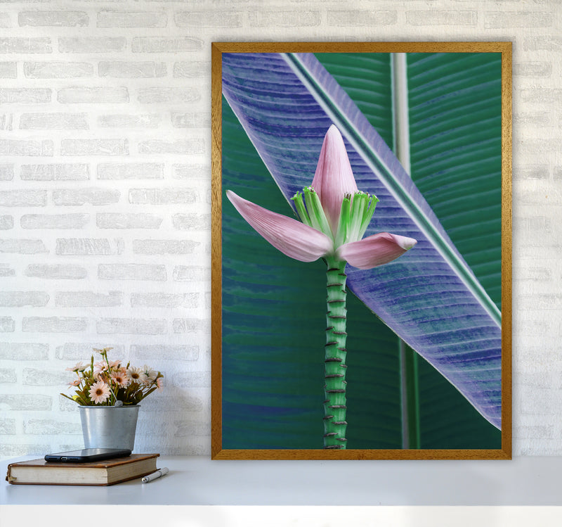The Banana Flower Art Print by Seven Trees Design A1 Print Only