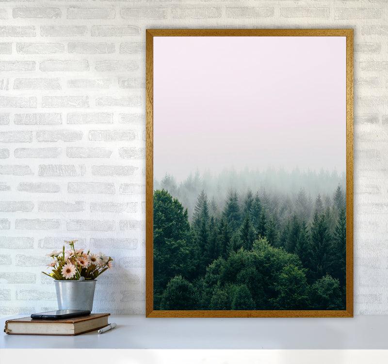 The Fog And The Forest I Photography Art Print by Seven Trees Design A1 Print Only