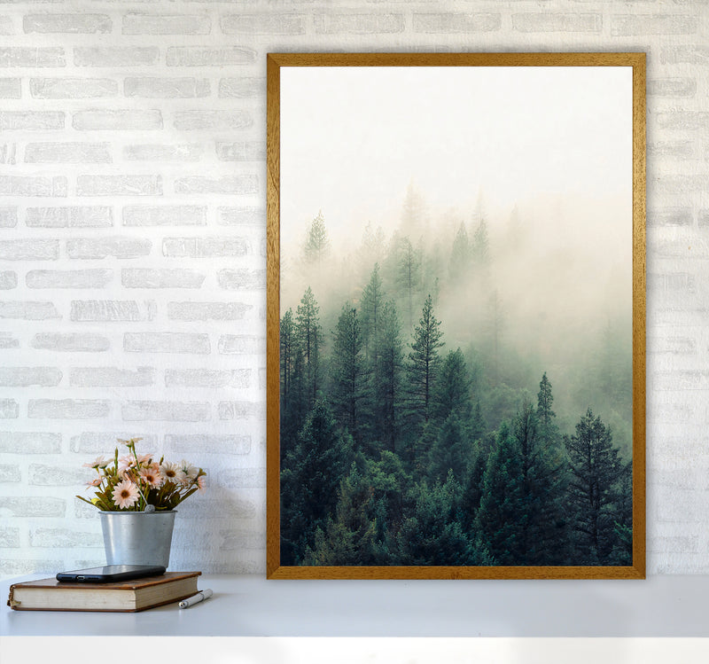 The Fog And The Forest II Photography Art Print by Seven Trees Design A1 Print Only