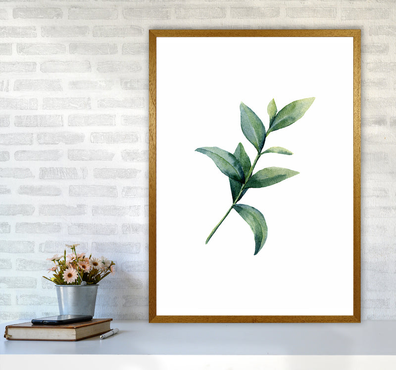Watercolor Eucalyptus II Art Print by Seven Trees Design A1 Print Only