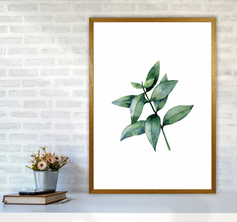 Watercolor Eucalyptus III Art Print by Seven Trees Design A1 Print Only