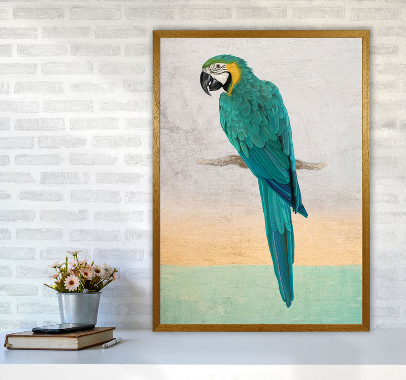 Graffiti Macaw Art Print by Seven Trees Design A1 Print Only