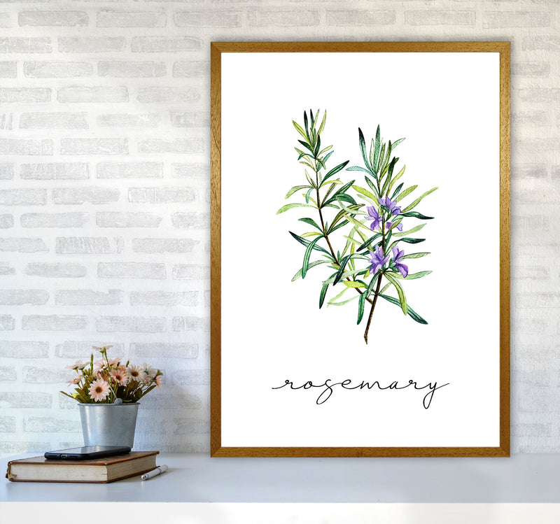 Rosemary Art Print by Seven Trees Design A1 Print Only