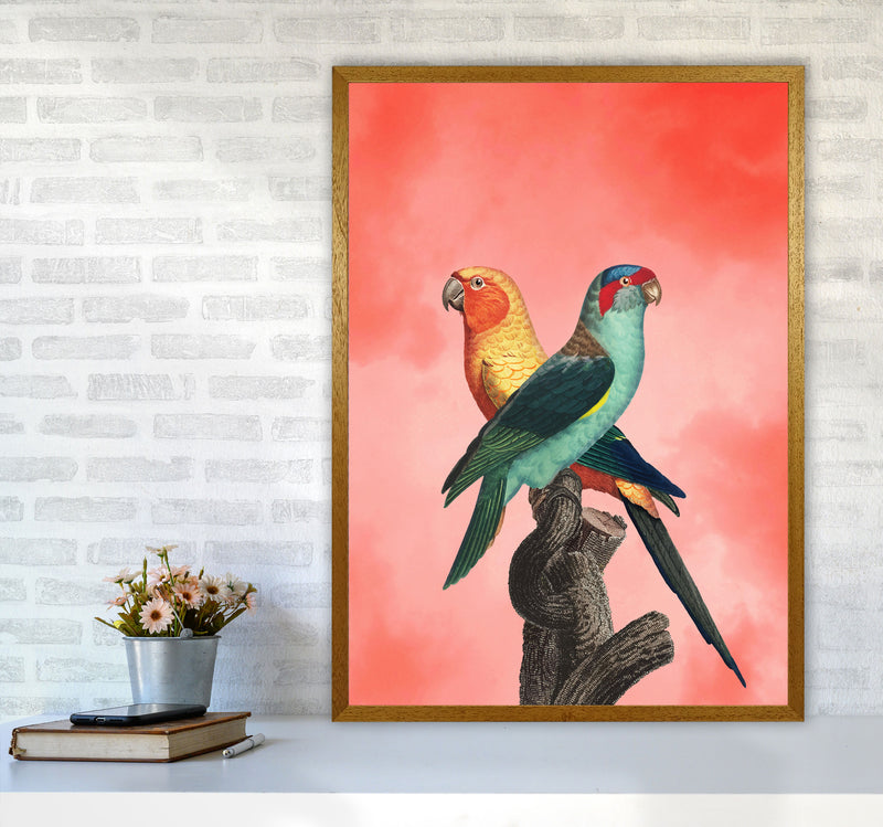 The Birds and the pink sky I Art Print by Seven Trees Design A1 Print Only